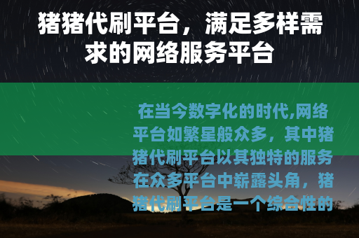 猪猪代刷平台，满足多样需求的网络服务平台