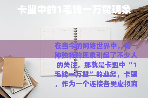 卡盟中的1毛钱一万赞现象
