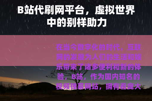 B站代刷网平台，虚拟世界中的别样助力
