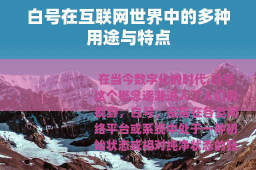 白号在互联网世界中的多种用途与特点