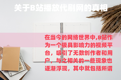 关于B站播放代刷网的真相