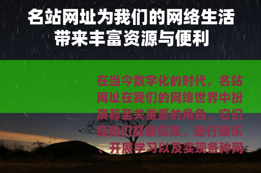 名站网址为我们的网络生活带来丰富资源与便利