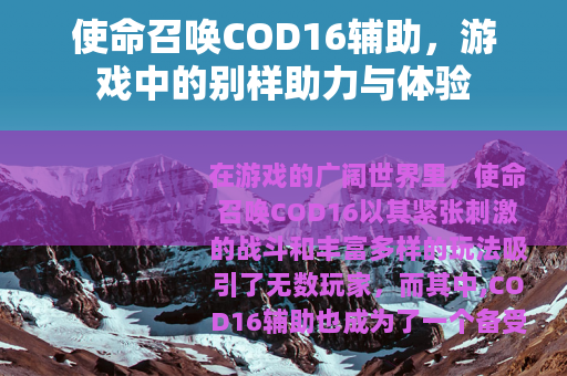 使命召唤COD16辅助，游戏中的别样助力与体验