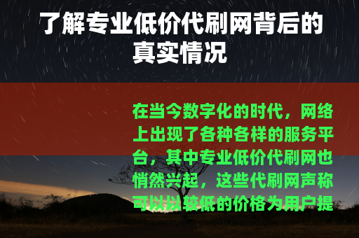 了解专业低价代刷网背后的真实情况