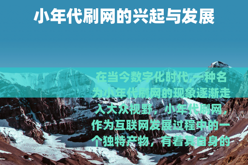 小年代刷网的兴起与发展