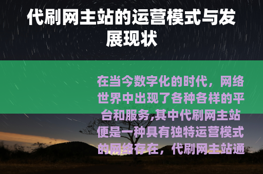 代刷网主站的运营模式与发展现状