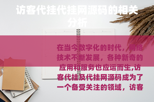 访客代挂代挂网源码的相关分析