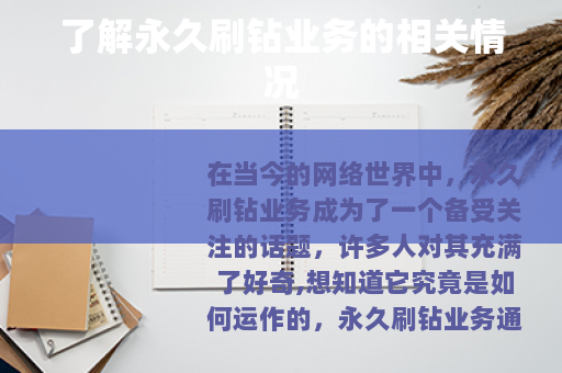 了解永久刷钻业务的相关情况