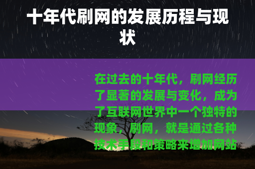 十年代刷网的发展历程与现状