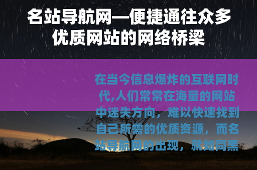 名站导航网—便捷通往众多优质网站的网络桥梁