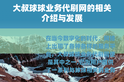大叔球球业务代刷网的相关介绍与发展