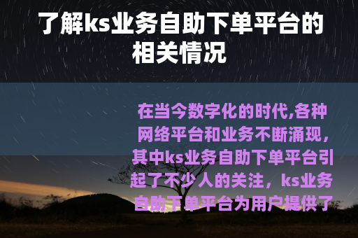 了解ks业务自助下单平台的相关情况