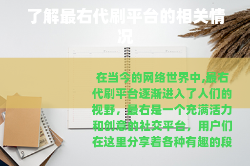 了解最右代刷平台的相关情况