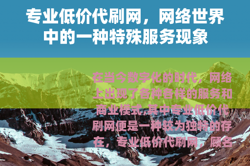 专业低价代刷网，网络世界中的一种特殊服务现象