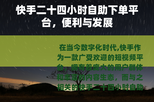 快手二十四小时自助下单平台，便利与发展