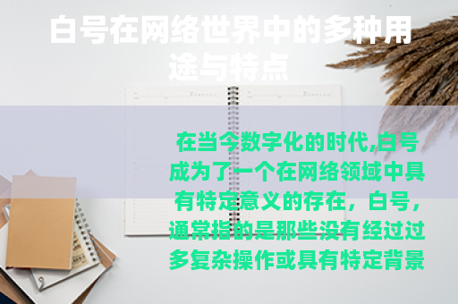 白号在网络世界中的多种用途与特点