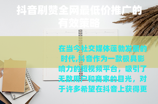 抖音刷赞全网最低价推广的有效策略