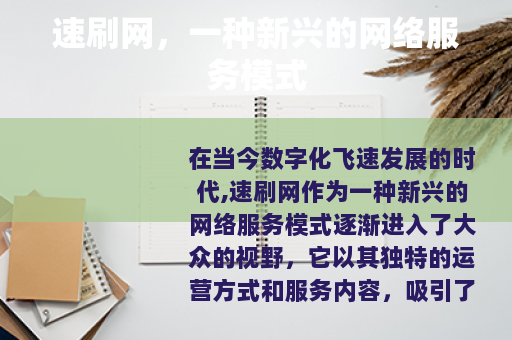 速刷网，一种新兴的网络服务模式