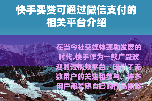 快手买赞可通过微信支付的相关平台介绍