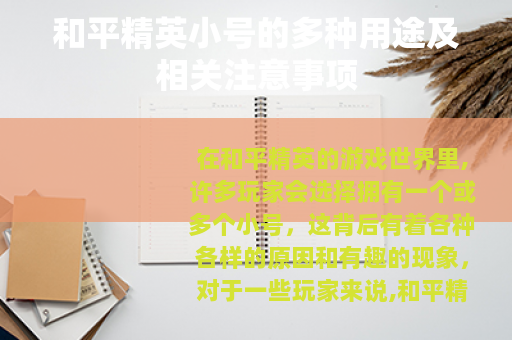 和平精英小号的多种用途及相关注意事项