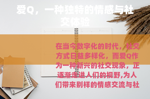 爱Q，一种独特的情感与社交体验
