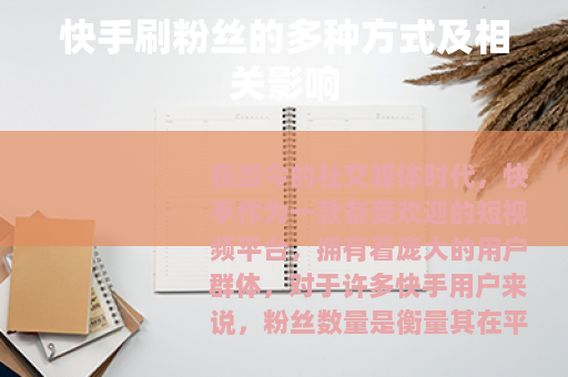 快手刷粉丝的多种方式及相关影响
