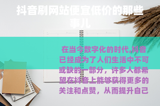 抖音刷网站便宜低价的那些事儿