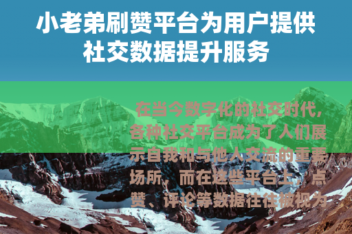 小老弟刷赞平台为用户提供社交数据提升服务