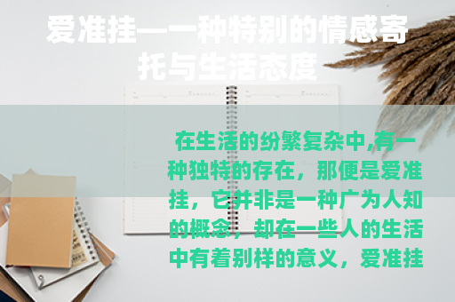 爱准挂—一种特别的情感寄托与生活态度