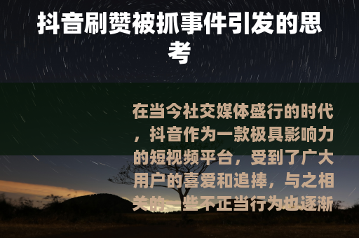 抖音刷赞被抓事件引发的思考