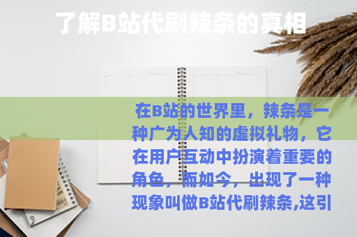 了解B站代刷辣条的真相