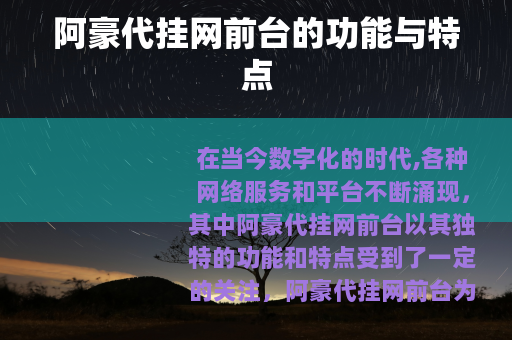 阿豪代挂网前台的功能与特点