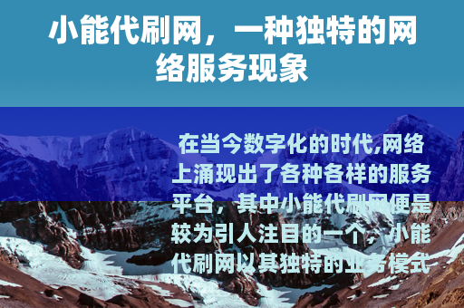 小能代刷网，一种独特的网络服务现象