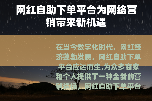 网红自助下单平台为网络营销带来新机遇