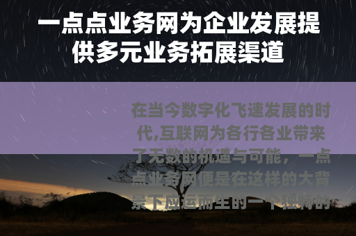 一点点业务网为企业发展提供多元业务拓展渠道