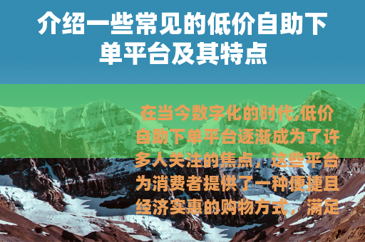 介绍一些常见的低价自助下单平台及其特点