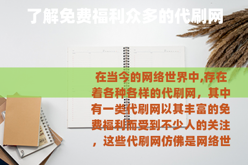 了解免费福利众多的代刷网