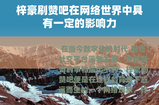 梓豪刷赞吧在网络世界中具有一定的影响力