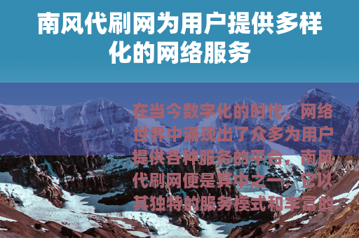 南风代刷网为用户提供多样化的网络服务
