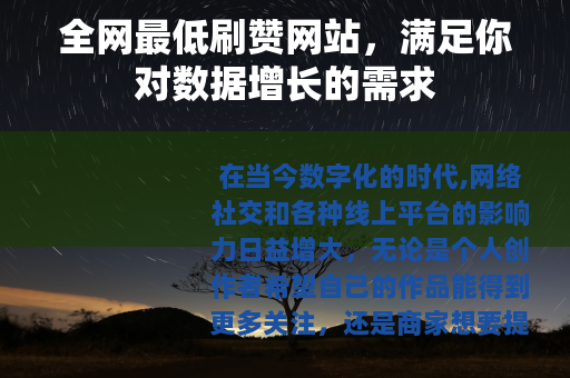 全网最低刷赞网站，满足你对数据增长的需求