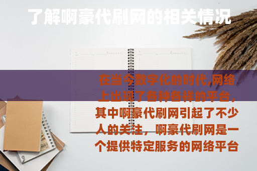 了解啊豪代刷网的相关情况