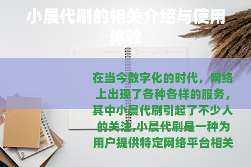 小晨代刷的相关介绍与使用体验