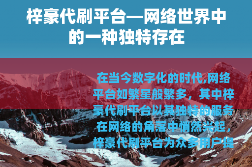 梓豪代刷平台—网络世界中的一种独特存在