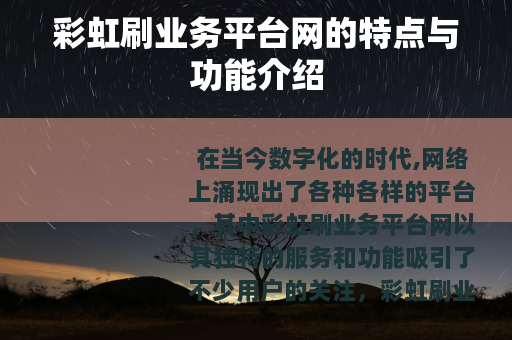 彩虹刷业务平台网的特点与功能介绍