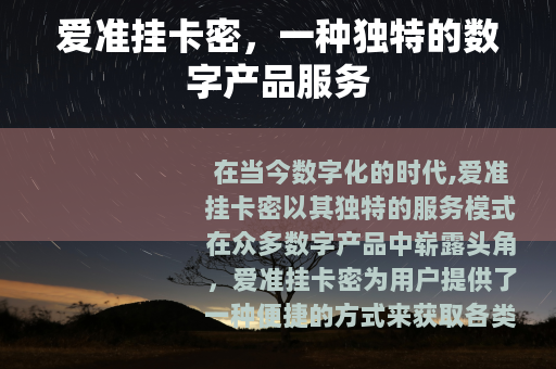 爱准挂卡密，一种独特的数字产品服务
