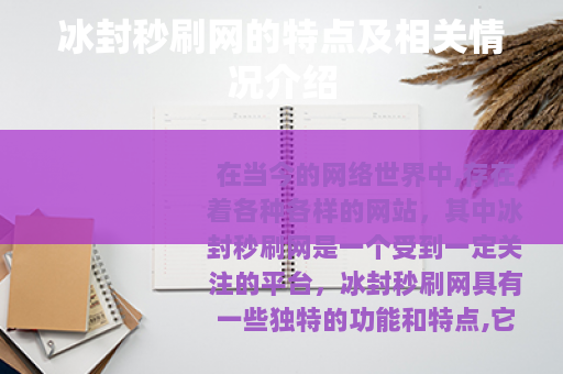 冰封秒刷网的特点及相关情况介绍