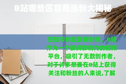 B站哪些区容易涨粉大揭秘