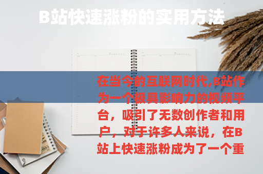 B站快速涨粉的实用方法