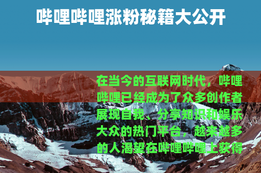 哔哩哔哩涨粉秘籍大公开