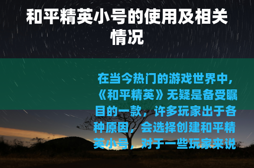 和平精英小号的使用及相关情况